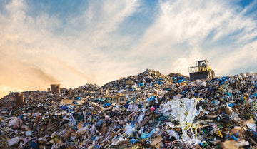 Trash Trouble in India: Landfills