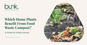 Which Home Plants Benefit From Food Waste