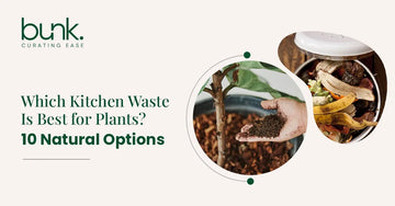 Which Kitchen Waste Is Best for Plants? 10 Natural Options